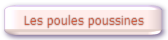 POULES POUSSINES.pdf