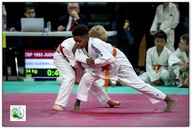 Cliquez pour agrandir l'image